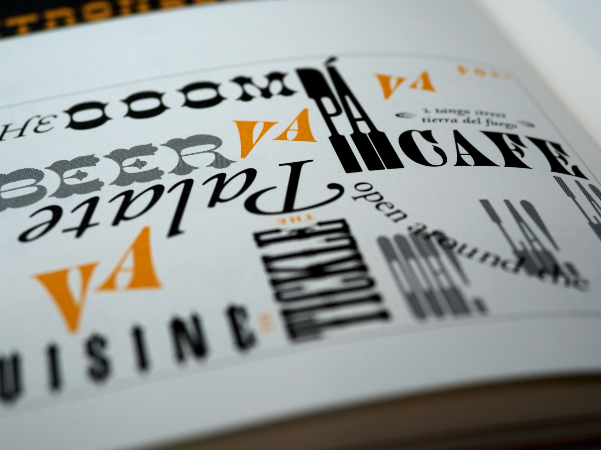 Différentes typographies imprimées sur un livre.